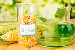 Rhyd Ddu biofuel availability