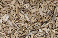 biomass boilers Rhyd Ddu